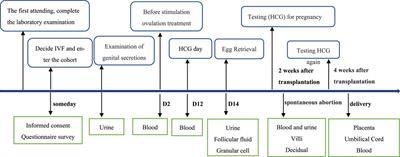 Reproductive toxicology of environmental endocrine-disrupting chemicals in women: a cohort study protocol